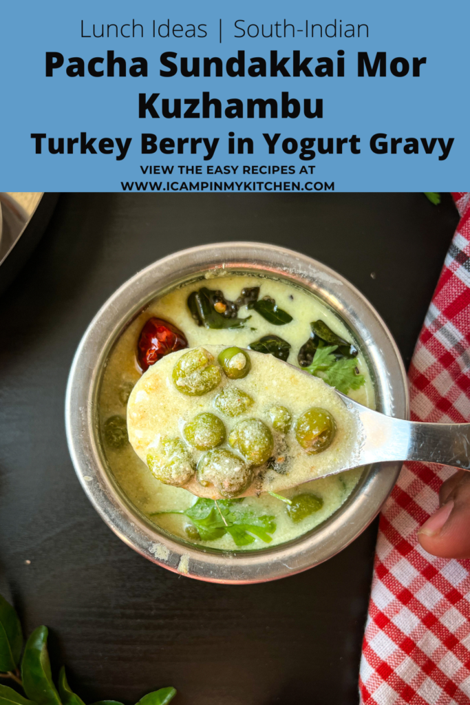 Pachai Sundakkai Mor Kuzhambu Fresh Turkey Berry Yogurt Gravy I