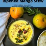 Mango yogurt stew pin